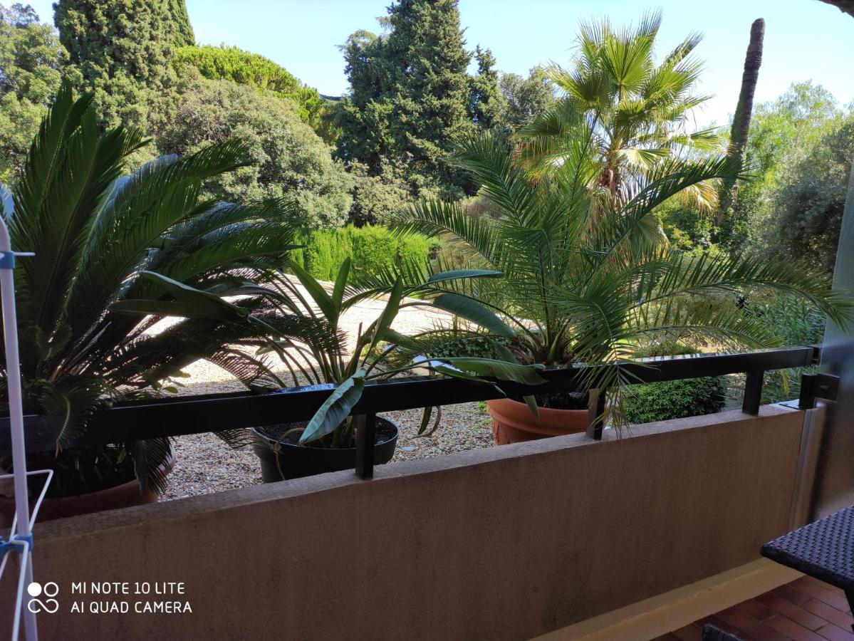 Residence Les Palmiers نيس المظهر الخارجي الصورة