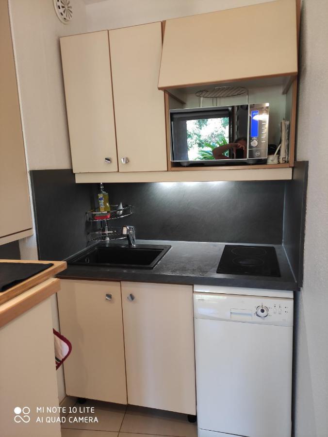 Residence Les Palmiers نيس المظهر الخارجي الصورة
